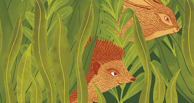Guia Risari, Gli amici del fiume. Illustrazioni di Giulia Rossi (particolare della copertina)