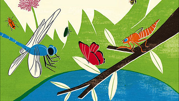 Il mondo segreto degli insetti
