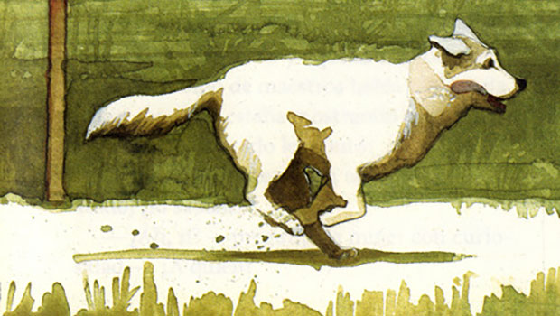 Hachiko. Il cane che aspettava