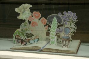 I libri pop up, prodotti pregiati non solo per bambini