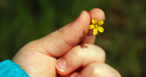 Libri per bambini sulla gentilezza: per un mondo migliore
