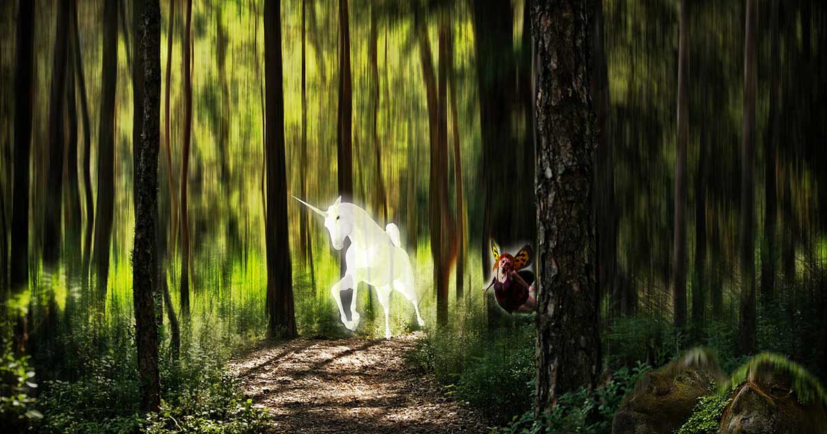 I libri fantasy più belli per ragazzi