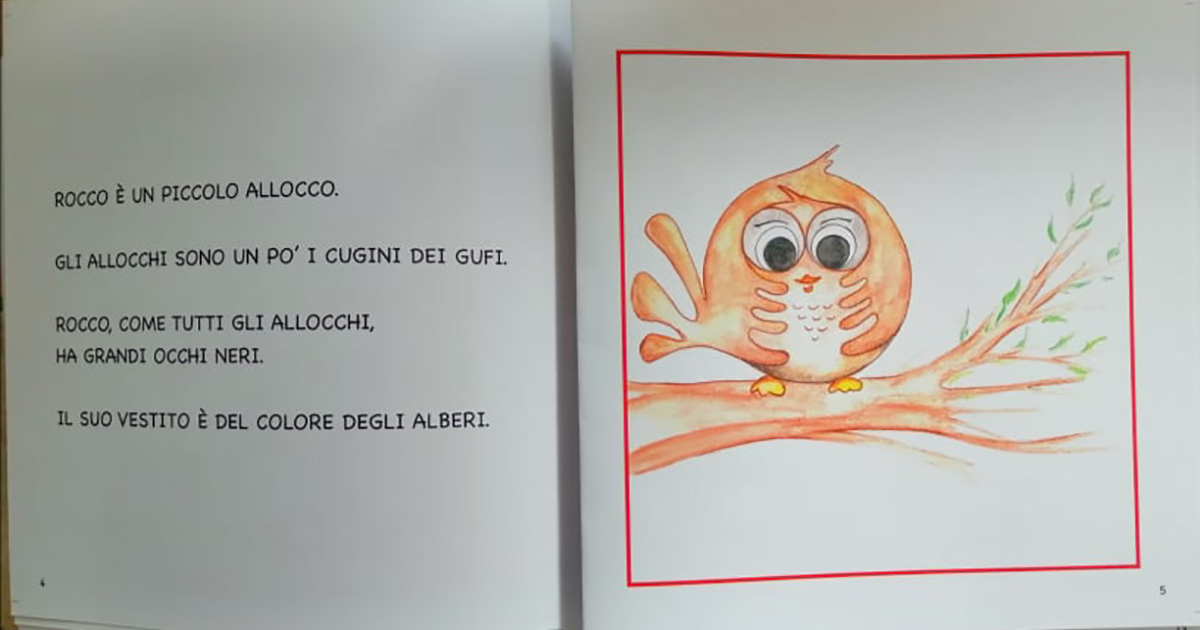 Rocco l'allocco è uno dei libri in stampatello maiuscolo per bambini da leggere