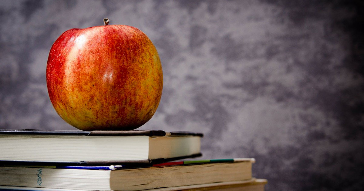 Frasi sulla scuola